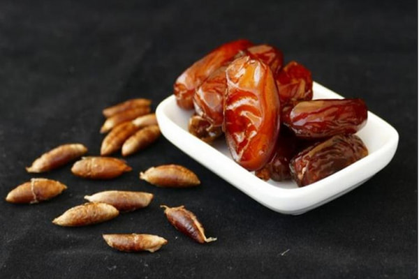 تصویر 4 از قیمت خرید روغن هسته خرما اصل + فروش ویژه